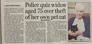 Plymouth Cat Rescue Story Daily Mail